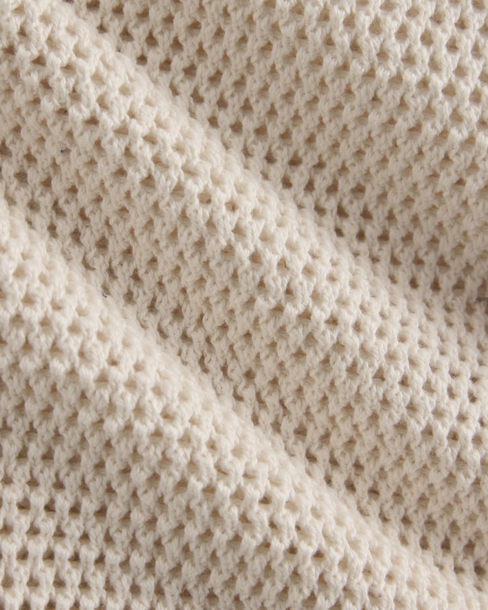 Open Knit Long-Sleeve Crew in Everyday Cotton | Canvas