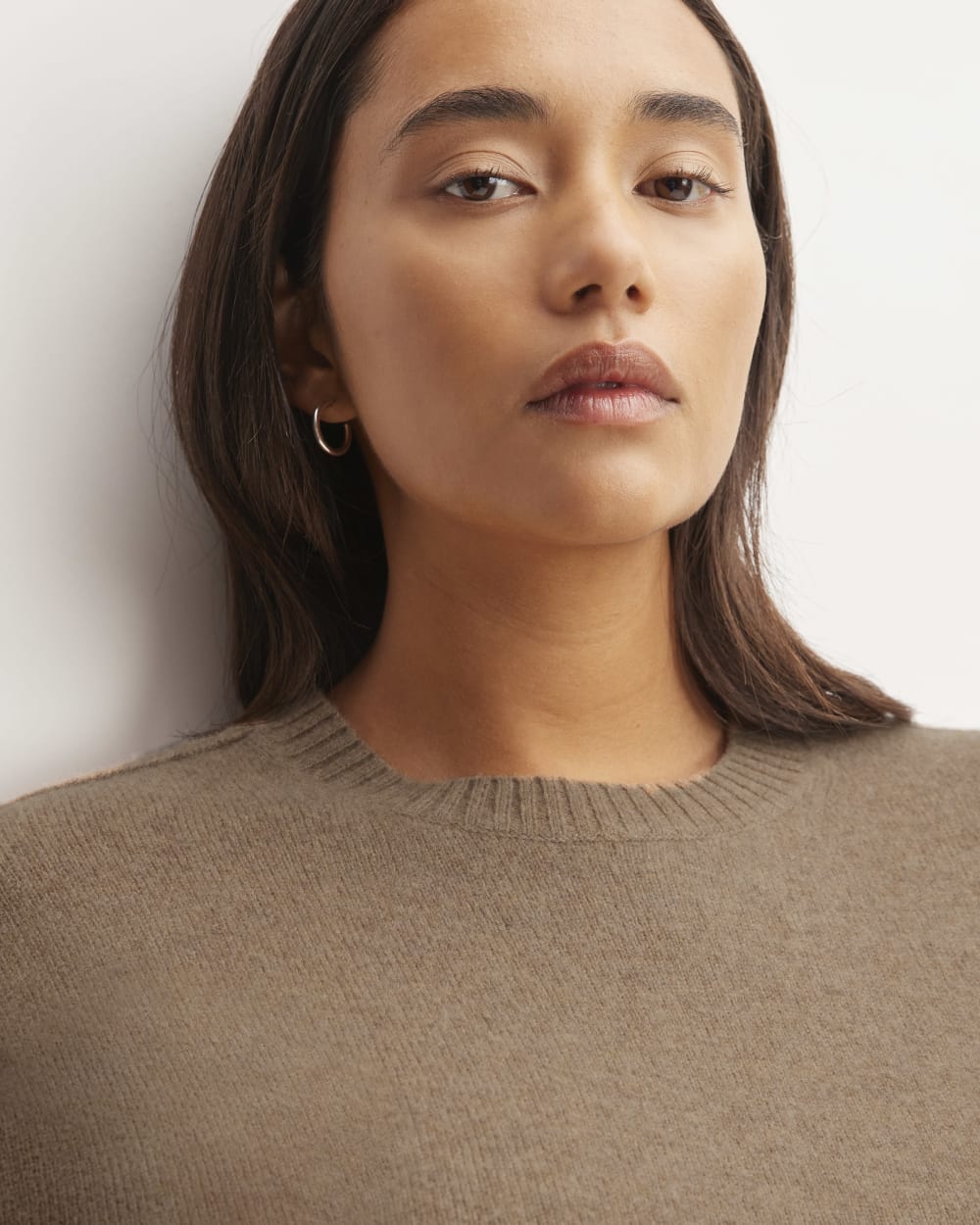 The Good Merino Wool Crewneck Sweater | Praline