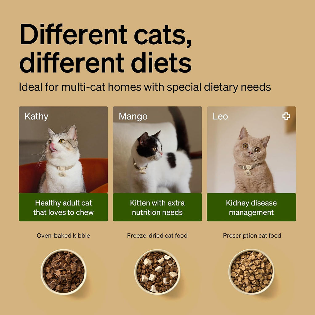 PETLIBRO RFID Automatic Cat Feeder