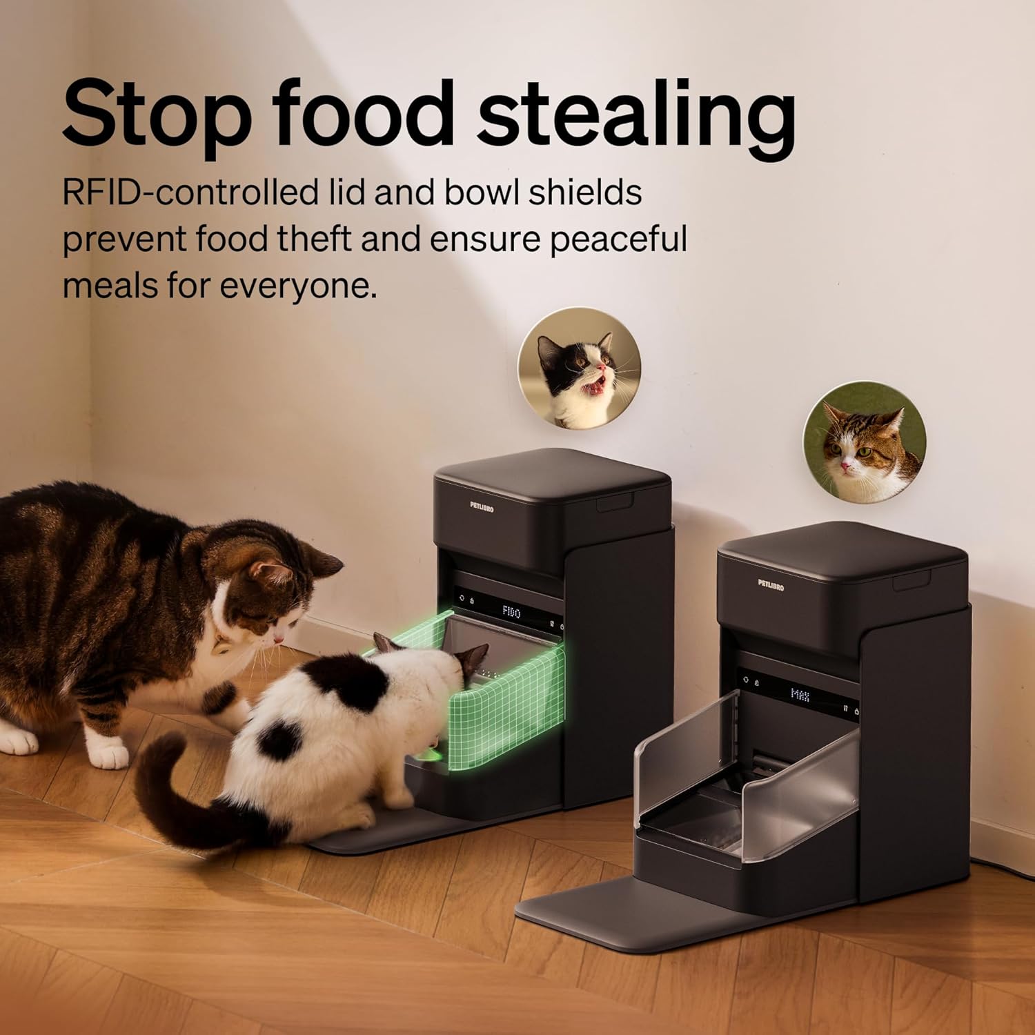 PETLIBRO RFID Automatic Cat Feeder