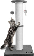 The cat caught