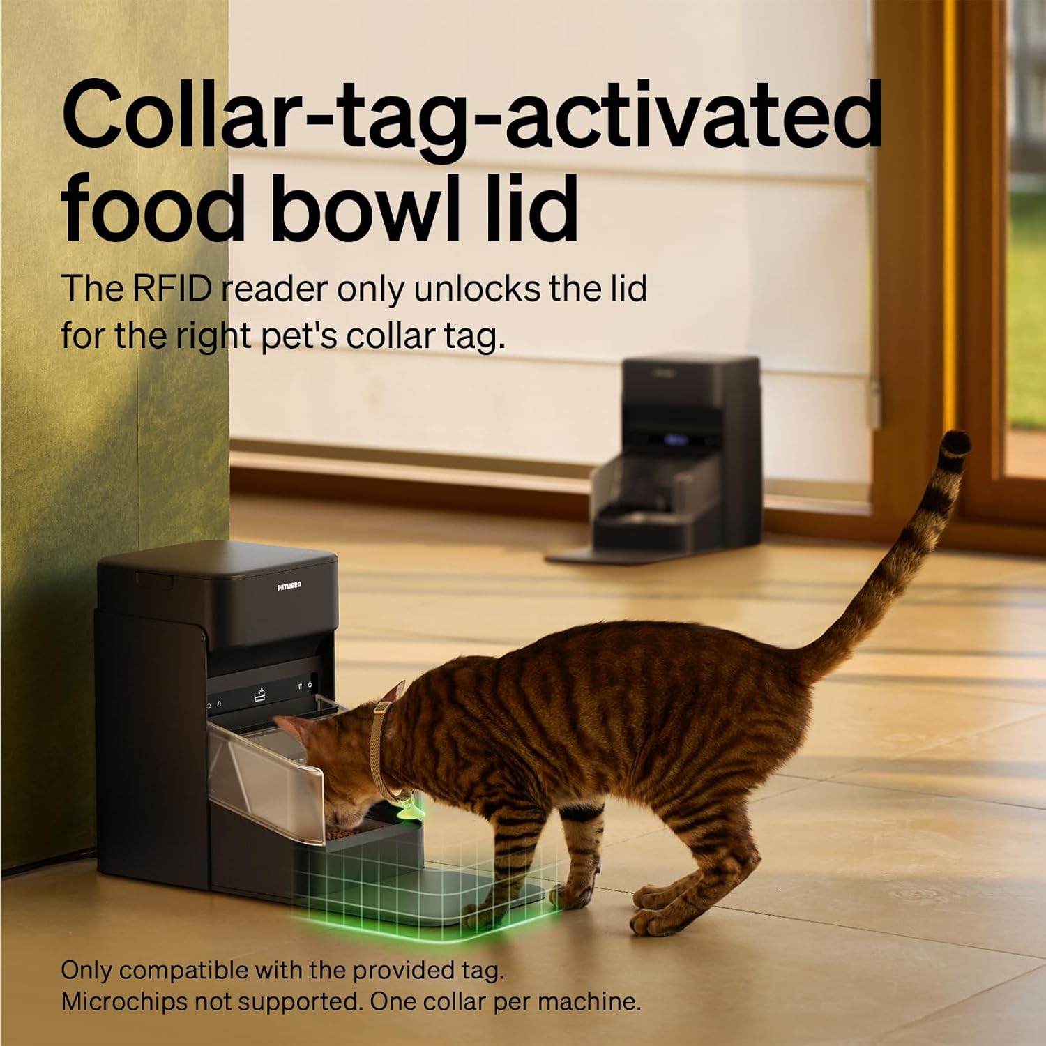 PETLIBRO RFID Automatic Cat Feeder