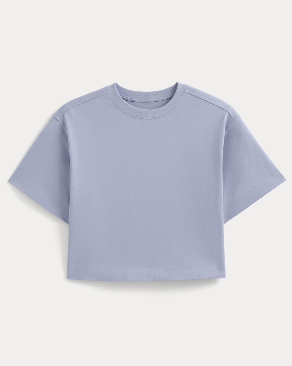 Forever Jersey Cropped Tee | Aleutian