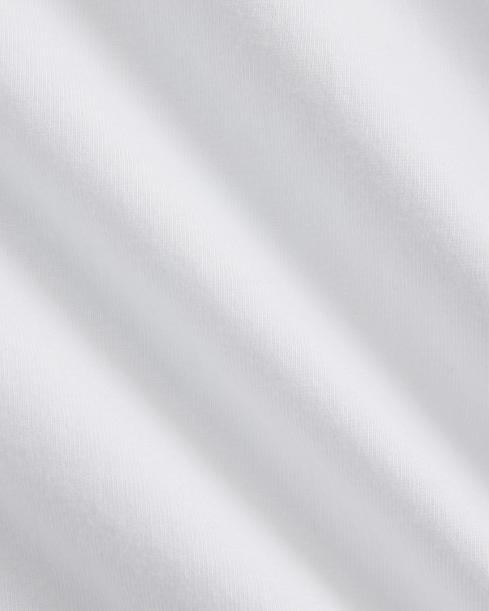 Archive Standard-Fit Cotton Crew | White